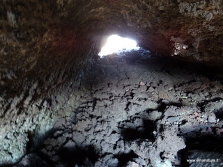 otta Chiovazzi-02-11-2020 12